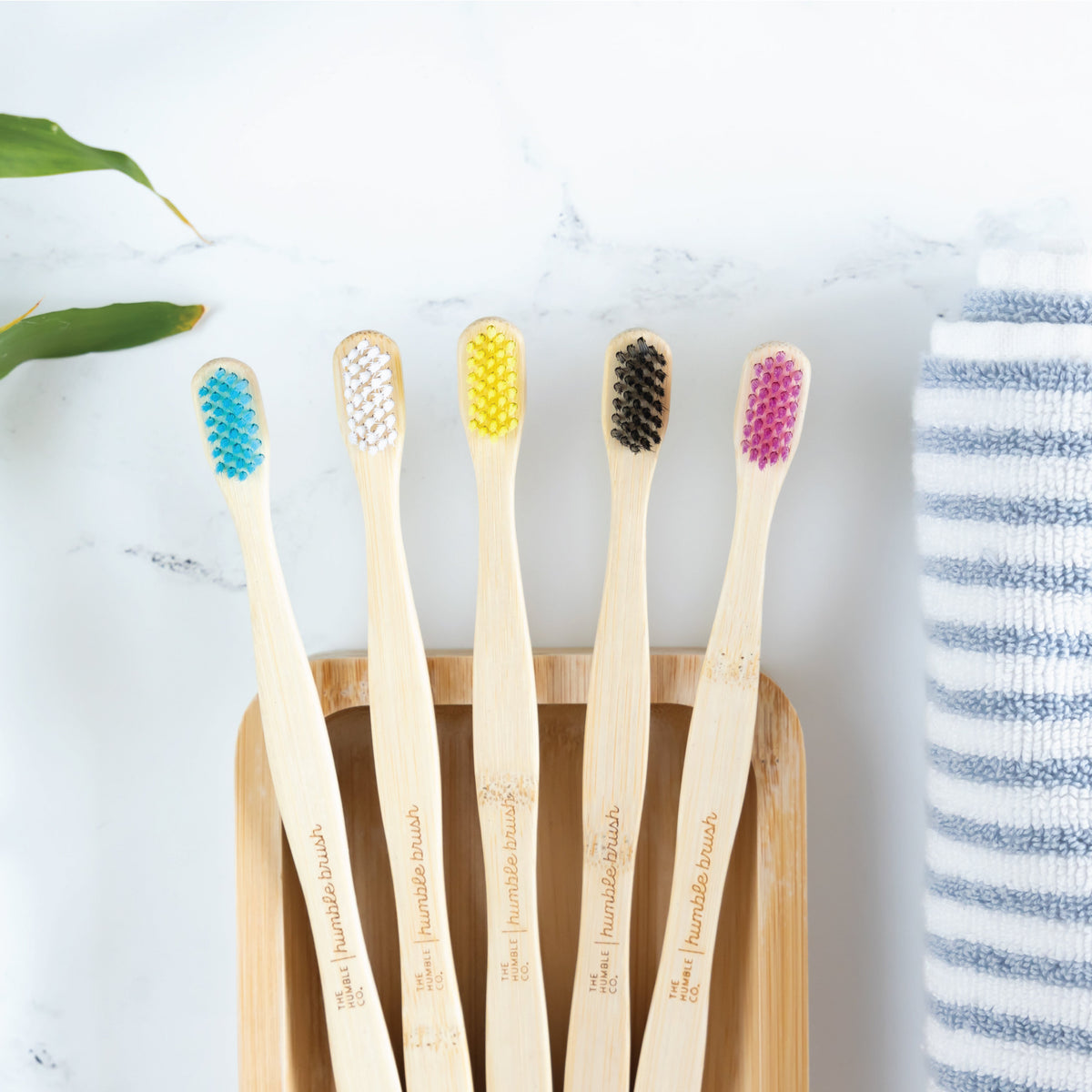 HUMBLE BRUSH TBR ADT SFT WHT