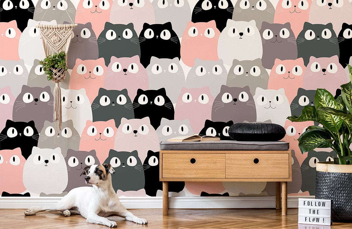 CHUBBY KITTIES