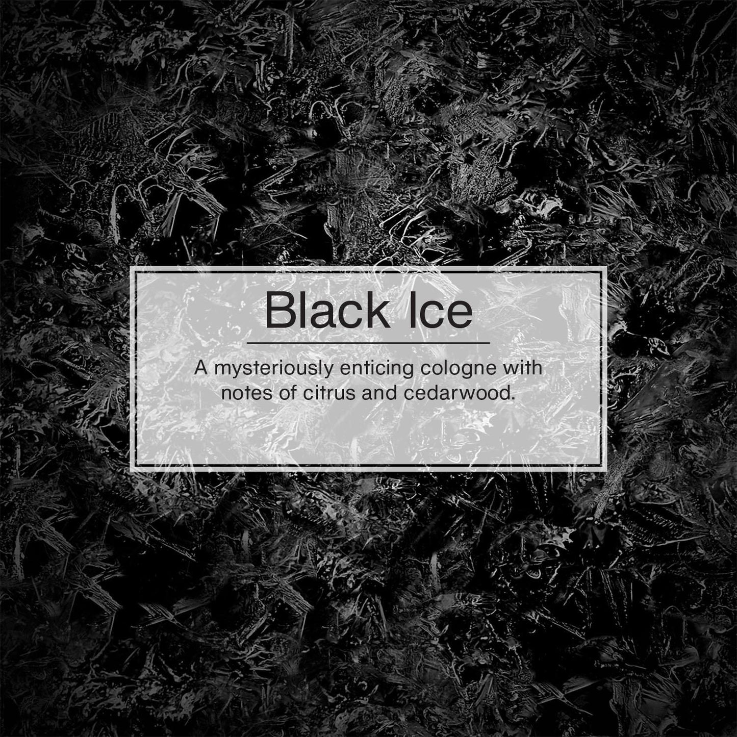 Little Trees Black Ice Hanging Air Freshener - 3 pack