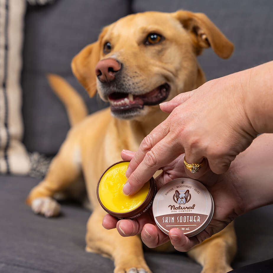 DOG SUPP,SOOTHE,SKIN,COAT