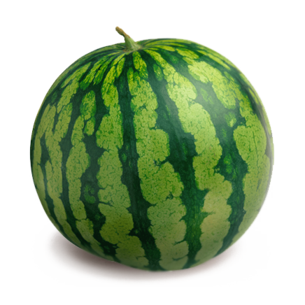CALM,WATERMELON