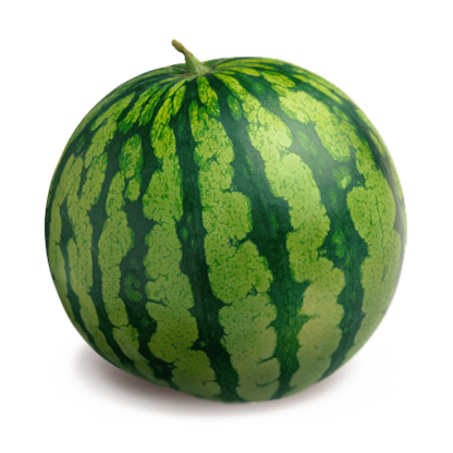 CALM,WATERMELON