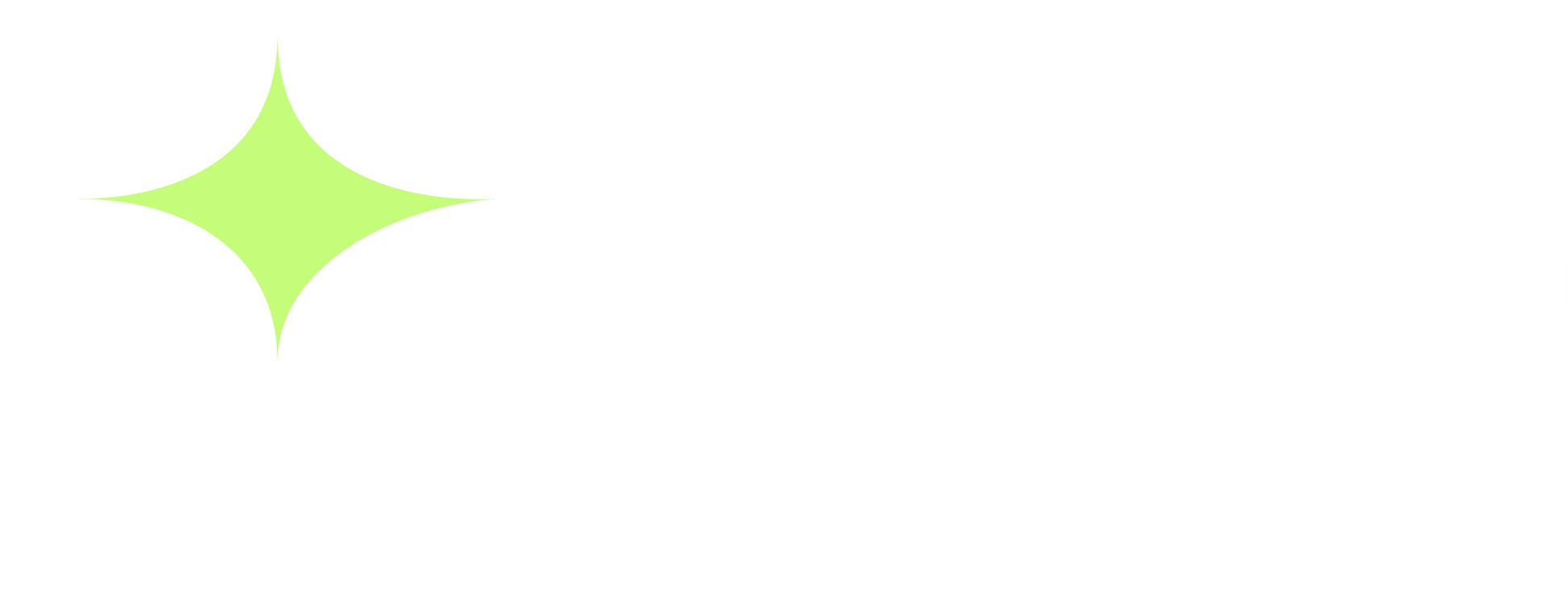 BOOST LQ 4X6X8OZ VAN