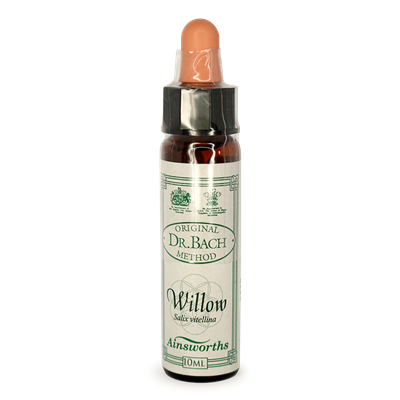 BACH WILLOW